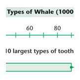 whale whisker plot