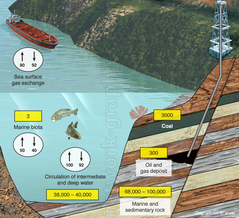 Diagram showing the carbon cycle in a marine environment, highlighting carbon exchange between sea surface, marine biota, deep water circulation, and geological carbon stores like coal, oil, and gas deposits.