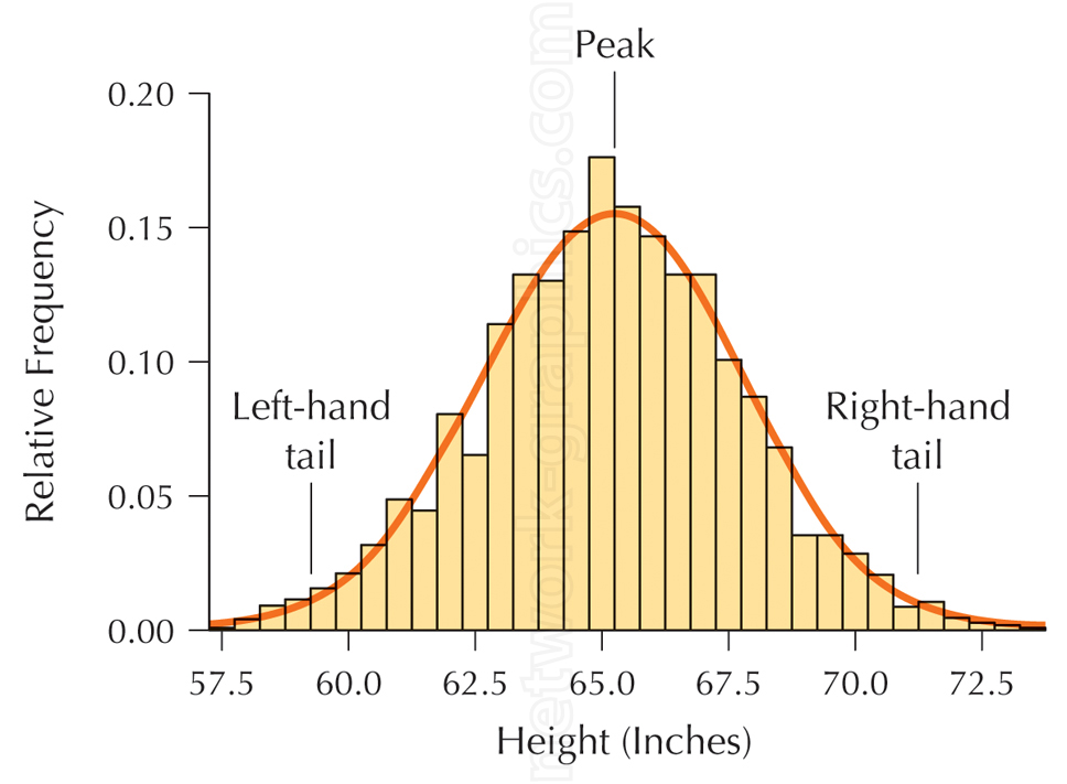 Histogram with a bell curve overlay showing the relative frequency distribution of heights, peaking at around 65 inches, with left and right tails representing less common shorter and taller heights, respectively.