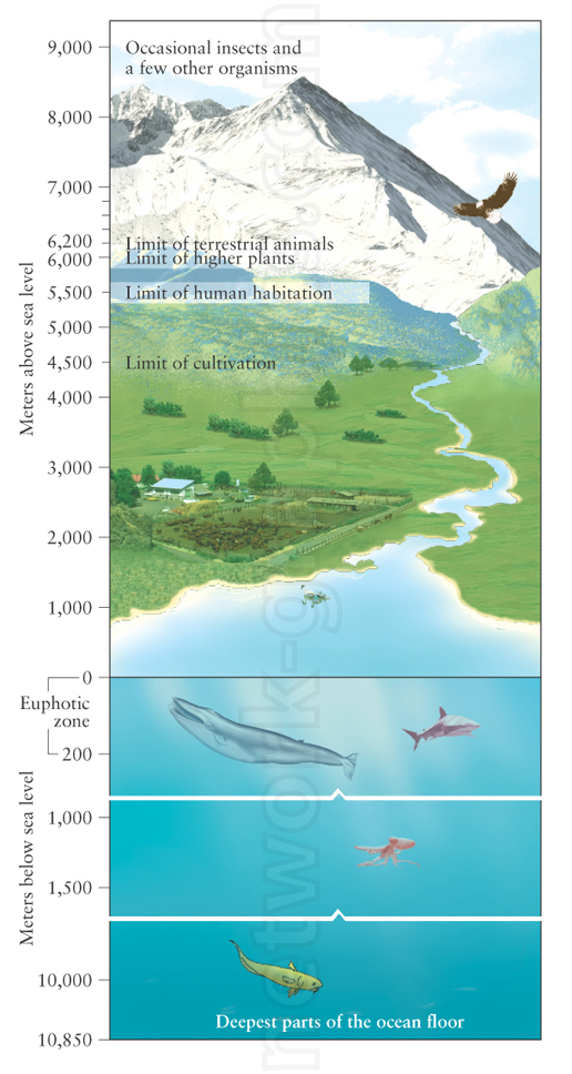 Vertical cross-section showing life distribution from mountain peaks to ocean depths, with limits for insects, terrestrial animals, plants, human habitation, and marine organisms at various depths.