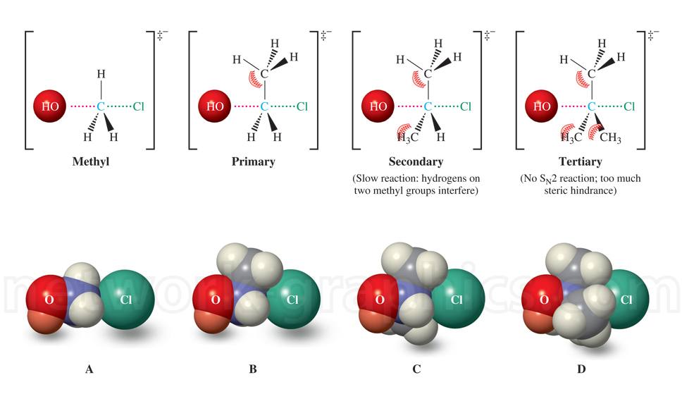 Comparative diagram and space-filling models of methyl, primary, secondary, and tertiary alkyl halides reacting with hydroxide ion in SN2 reactions, showing increasing steric hindrance from methyl to tertiary structures.