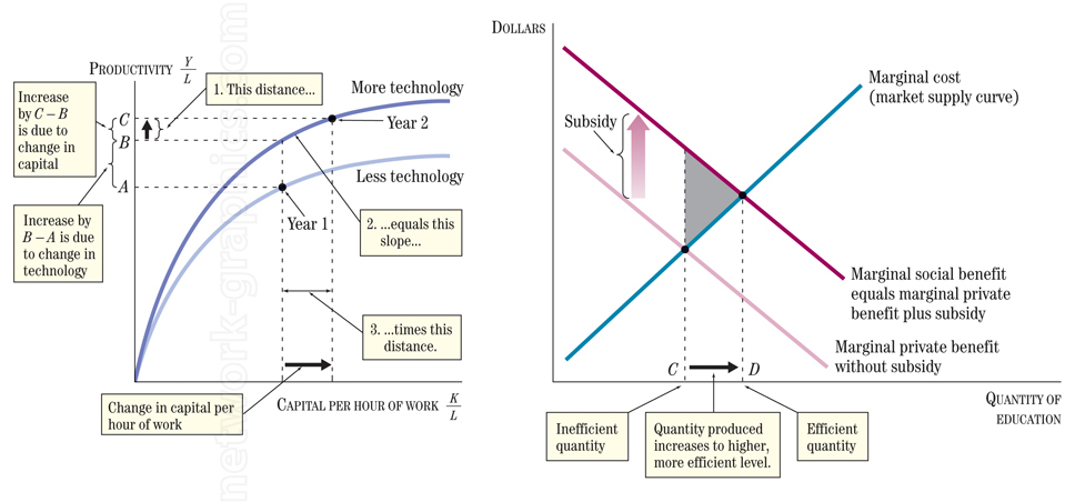 Two economic graphs: one displaying the impact of capital and technology on productivity, and the other showing a supply and demand model for education, illustrating the effect of subsidies on moving the market from inefficient to efficient quantity levels.