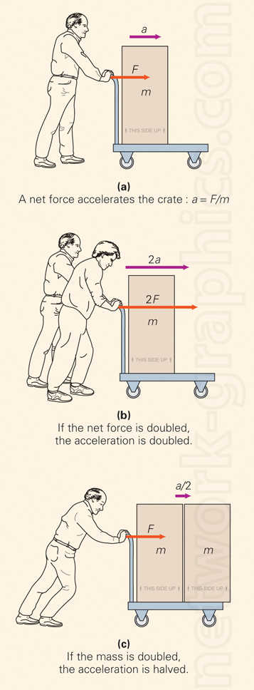 Illustration showing three scenarios where a person or persons push a crate: (a) applying force F results in acceleration a; (b) applying double the force results in double the acceleration; (c) doubling the crate's mass while applying the same force results in half the acceleration.