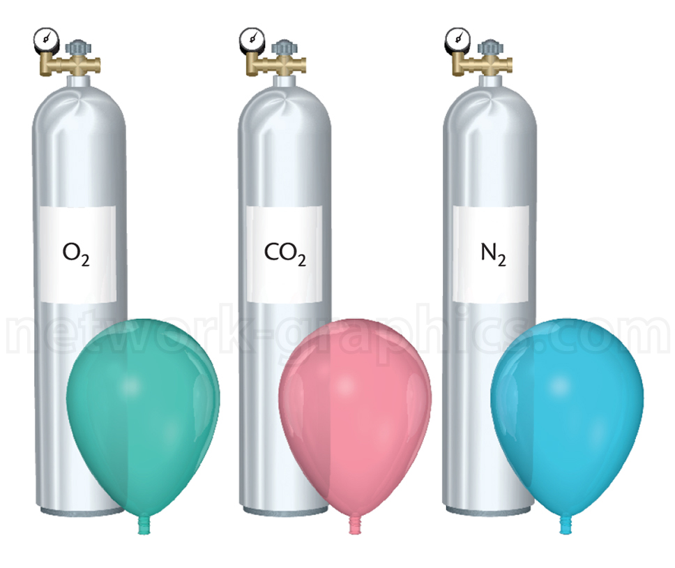 This illustration features three gas cylinders filled with different gases—oxygen (O2O), carbon dioxide (CO2​), and nitrogen (N2)—each connected to a balloon.