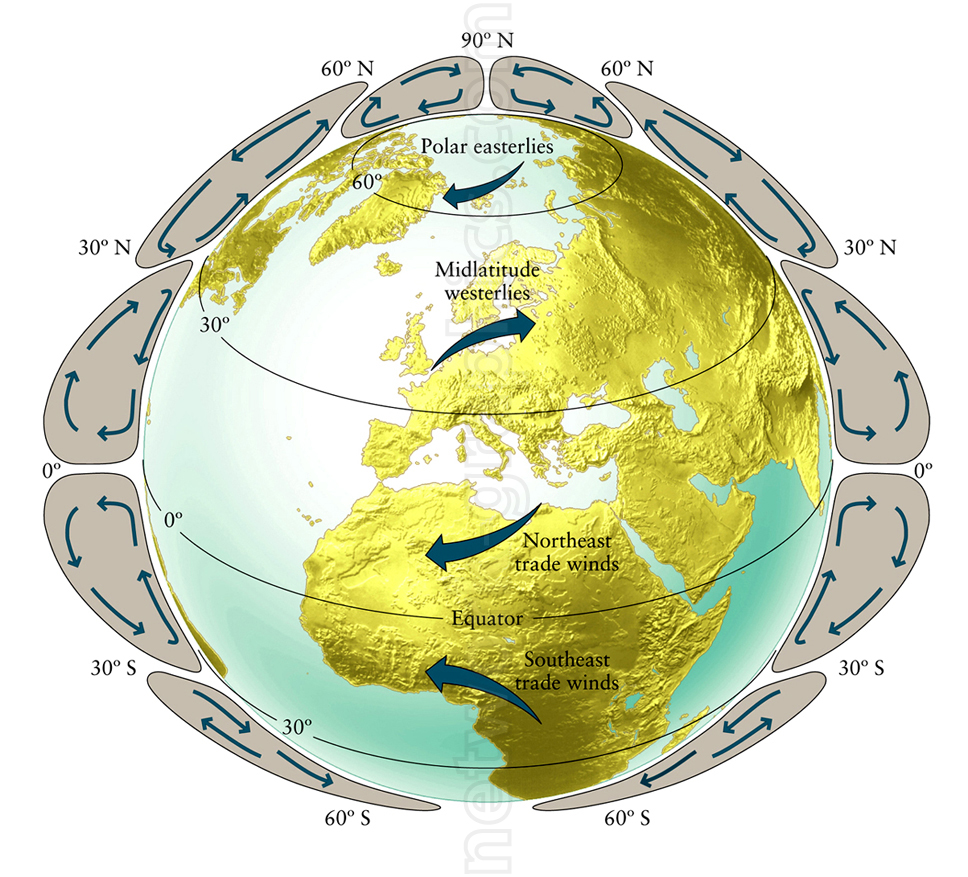 Globe showing Earth's wind patterns, including polar easterlies, midlatitude westerlies, and trade winds near the equator, with arrows indicating wind direction.