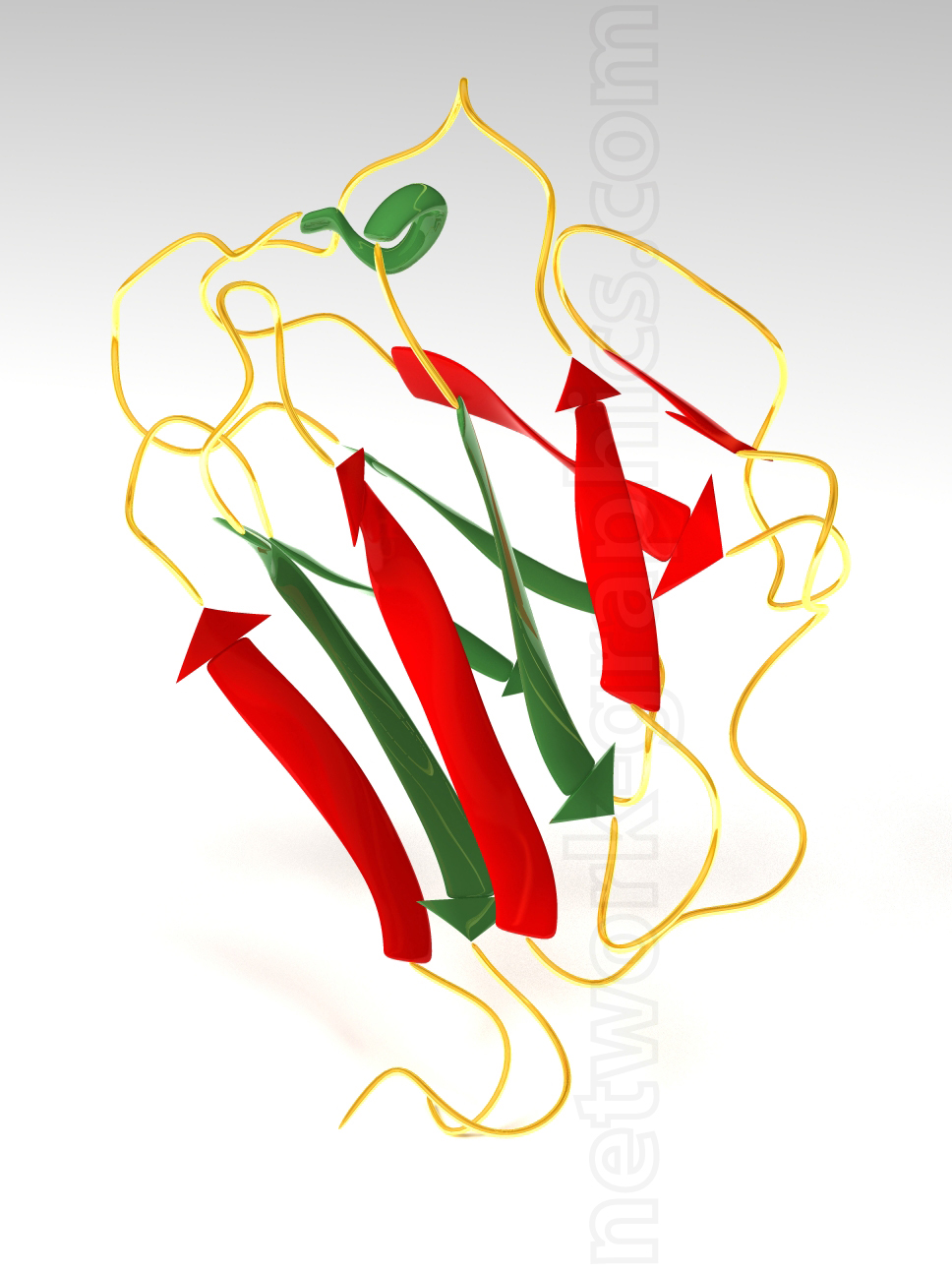 Lamin A protein structure with beta sheets and loops visualized in 3D.