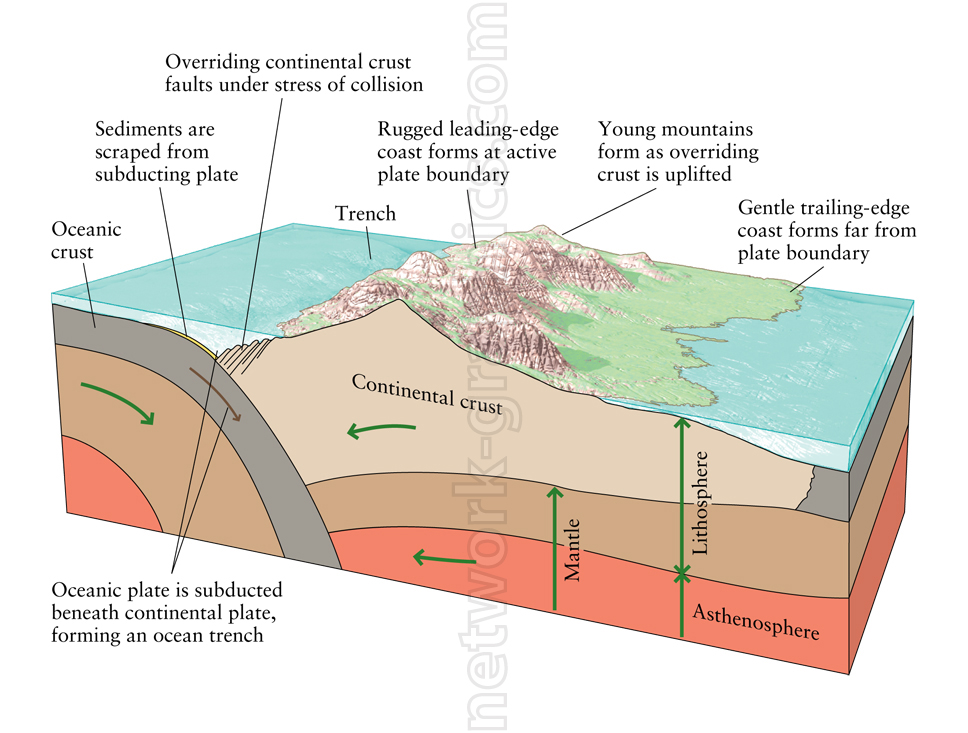 Cross-section of a subduction zone showing an oceanic plate subducting beneath a continental plate, forming a trench, uplifting mountains, and depicting lithosphere, mantle, and asthenosphere layers.