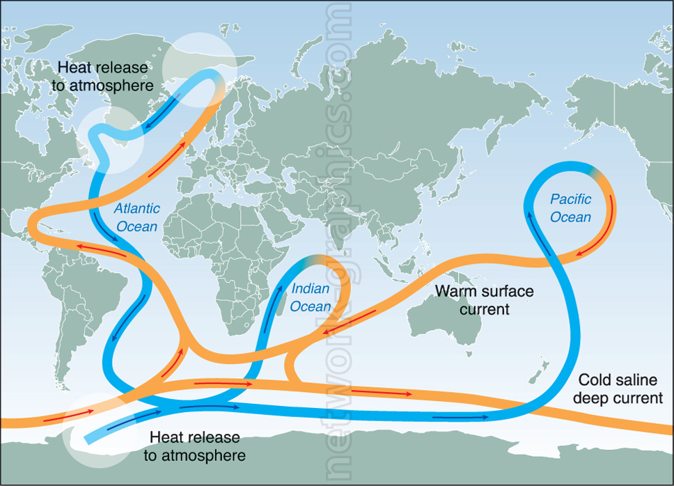 Global map showing ocean currents, with warm surface currents in orange and cold deep currents in blue, illustrating the circulation of heat around the Earth's oceans.