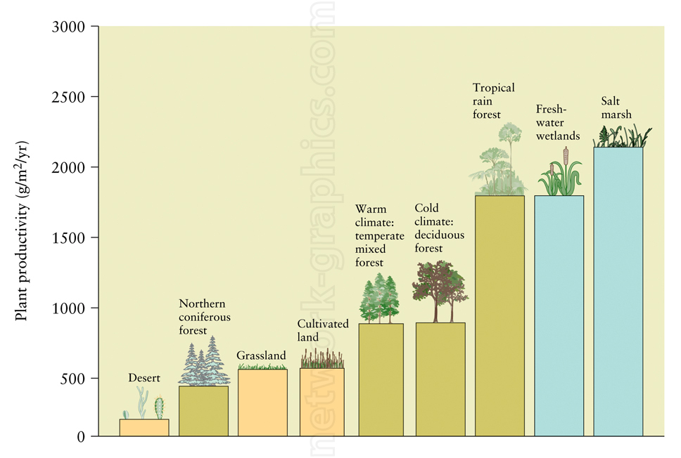 Bar chart comparing plant productivity across ecosystems, from deserts to salt marshes, with the highest productivity seen in tropical rainforests and wetlands.