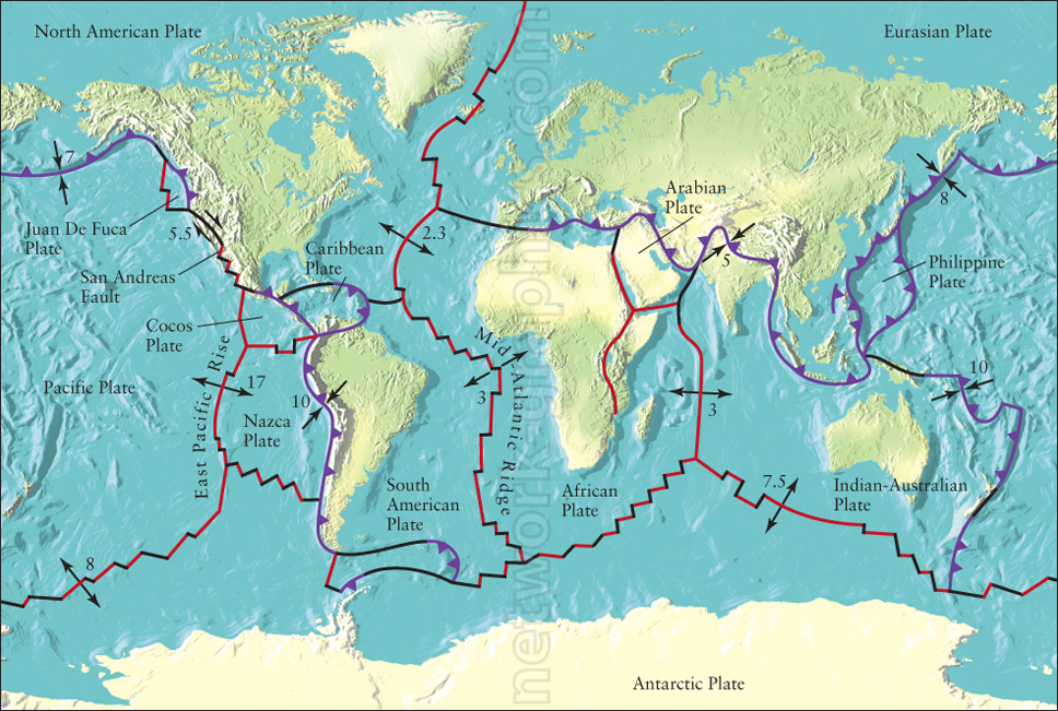 Map of the Earth's tectonic plates showing boundaries and movement directions, with red lines indicating divergent boundaries and purple lines showing convergent boundaries. Arrows point to the direction of plate movements.