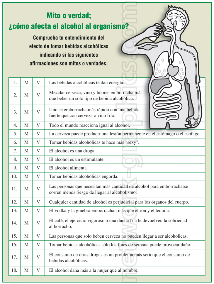 A table featuring a myth or truth quiz on alcohol's effects on the body, with an anatomical figure on the right side showing areas affected by alcohol, such as the brain, liver, and stomach.