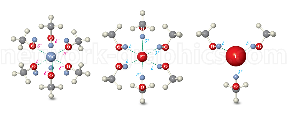 Diagram of hydration shells around Na⁺, F⁻, and I⁻ ions, showing water molecules oriented according to partial charges.