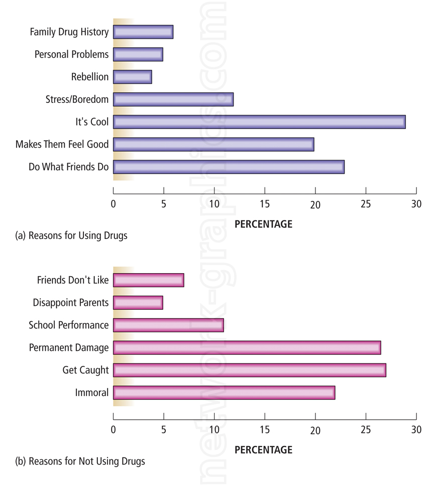 Bar charts showing reasons for using drugs (e.g., stress, peer influence) and reasons for not using drugs (e.g., fear of getting caught, moral values).