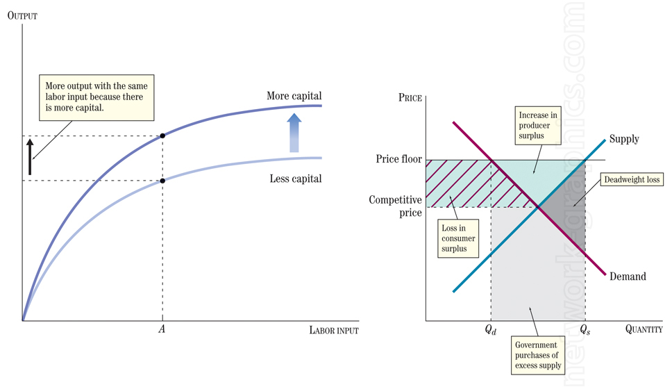 Two graphs: one showing production output increasing with more capital for the same labor input, and another illustrating the economic effects of a price floor with labeled surplus and deadweight loss areas.