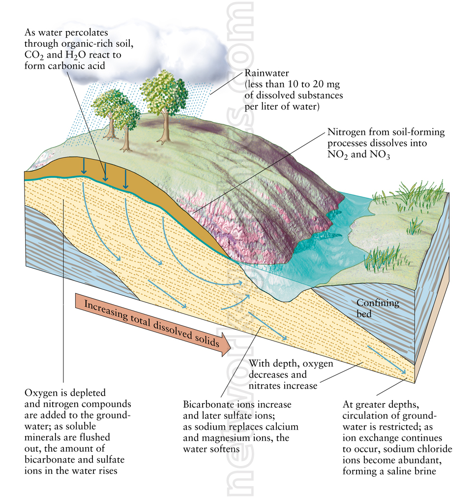 Cross-sectional illustration of groundwater movement, showing how rainwater dissolves minerals and undergoes chemical changes as it percolates through soil layers.