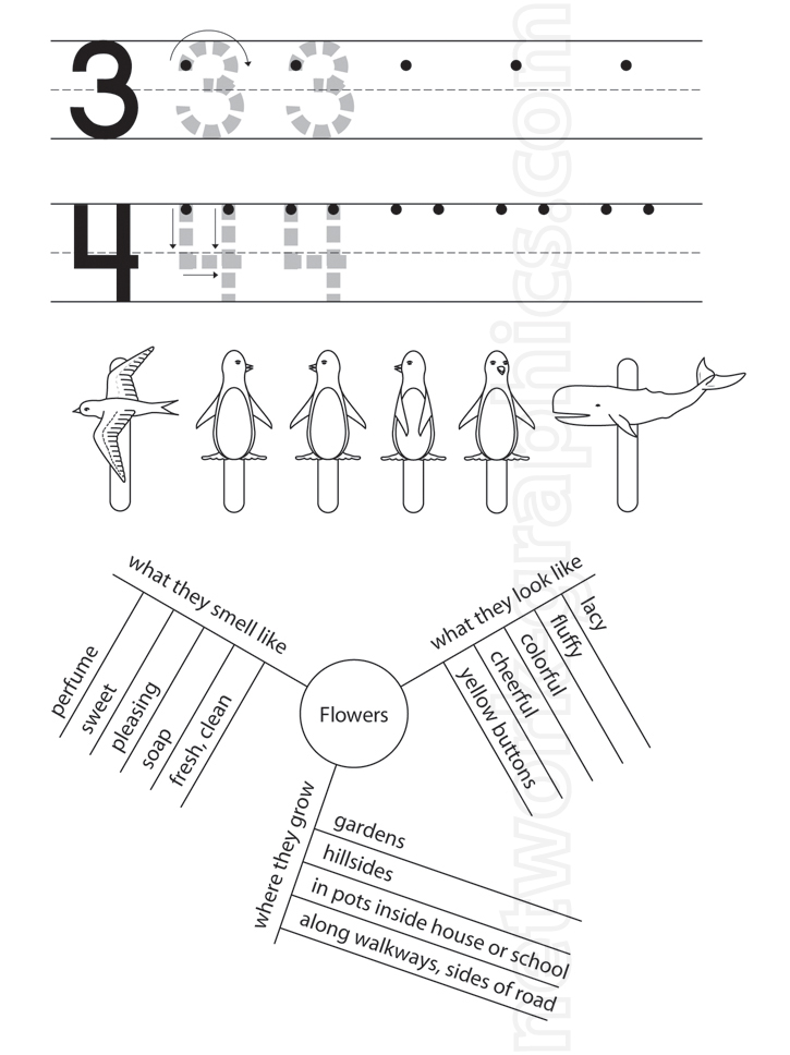 A worksheet with handwriting practice for numbers 3 and 4, animal illustrations transitioning from birds to penguins, and a concept map describing flowers.