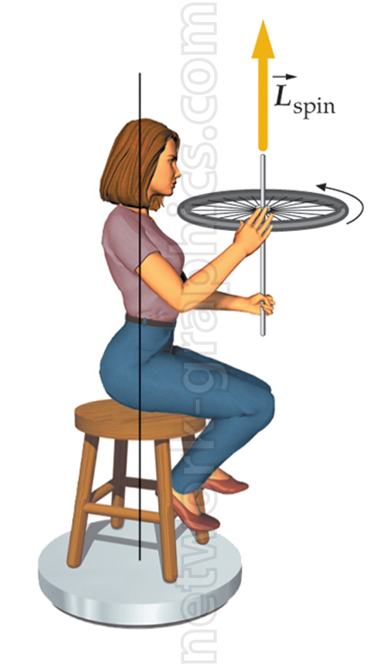 Woman seated on a stool holding a spinning wheel, demonstrating angular momentum with a labeled vector arrow Lspin pointing upward.