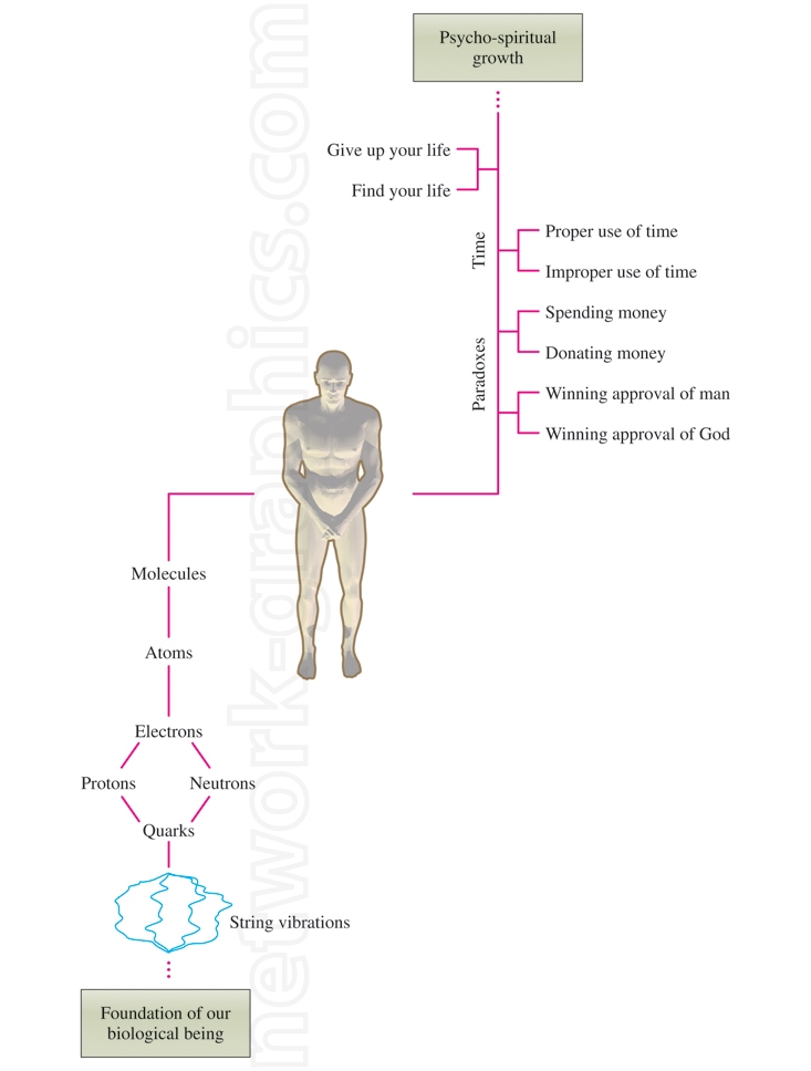 Diagram showing the connection between biological structure, starting from string vibrations, and the pathway to psycho-spiritual growth, including paradoxes and spiritual development stages.